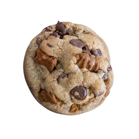 Chocolate Chip Biscoff cookie